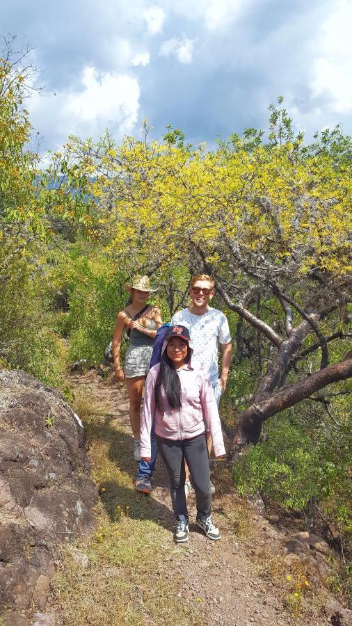 Bed and Breakfast Lizu Tu Casa En Un Pueblo Zapoteca Теотитлан-дель-Валье Экстерьер фото